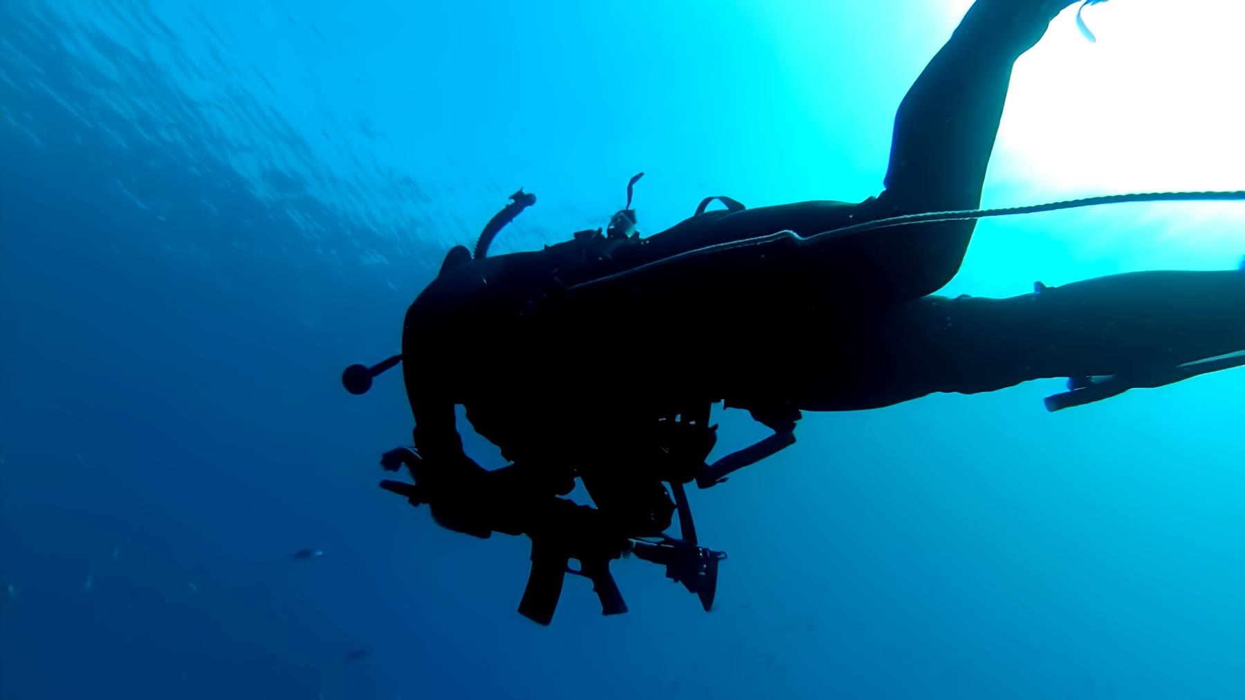 Combat diver
