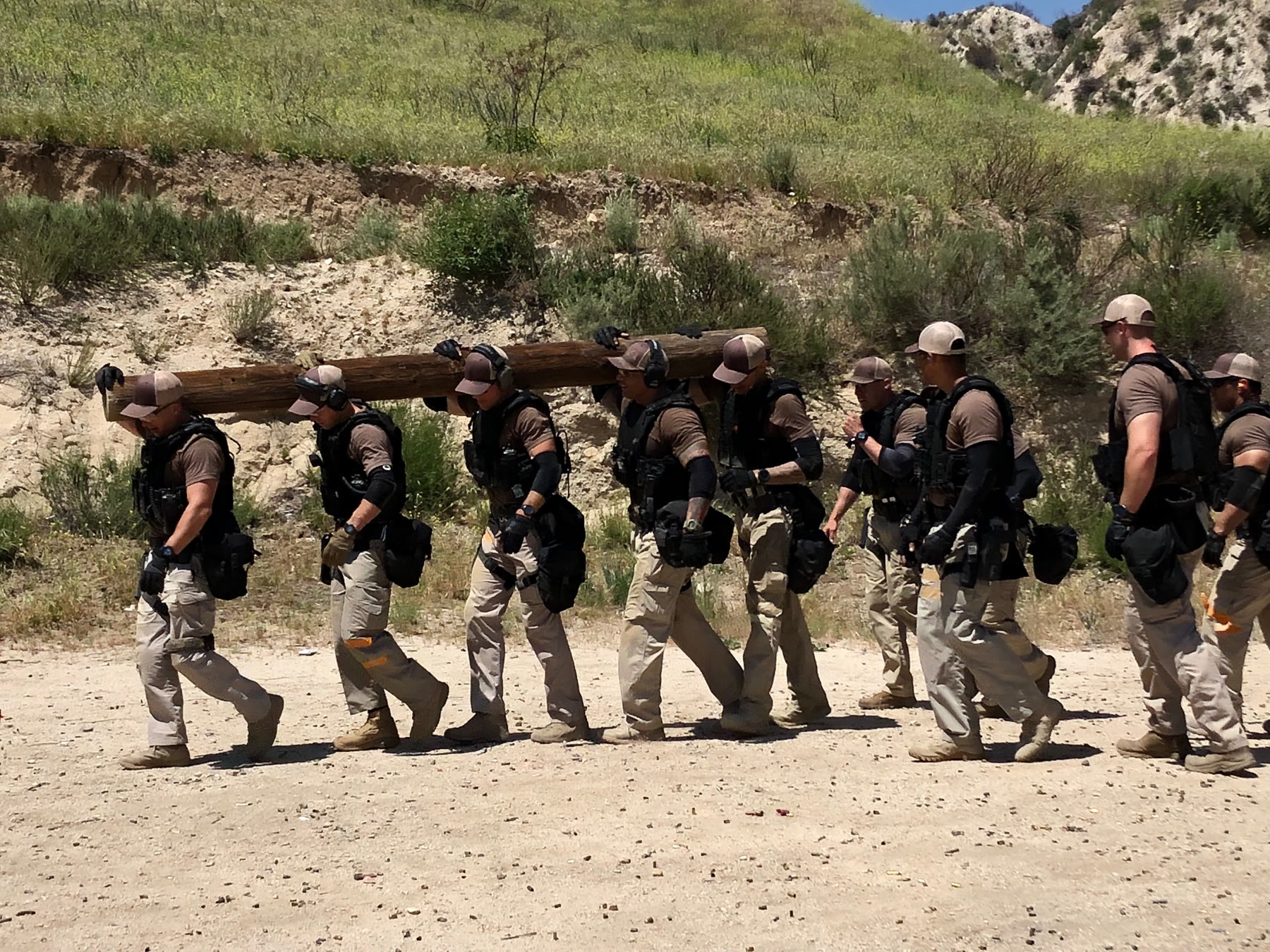 Log walk training